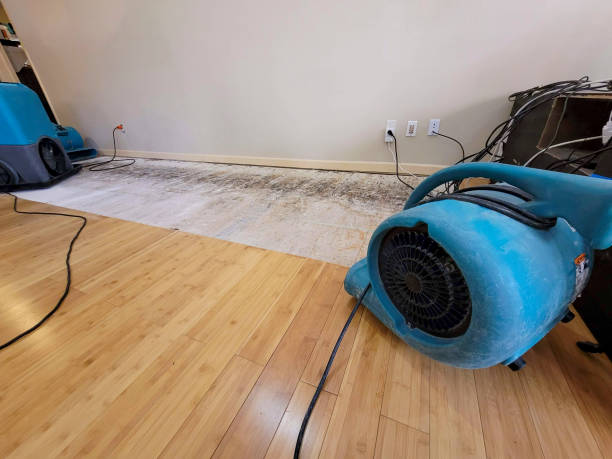 Professional Water Damage Repair technician working in Elkton, SD